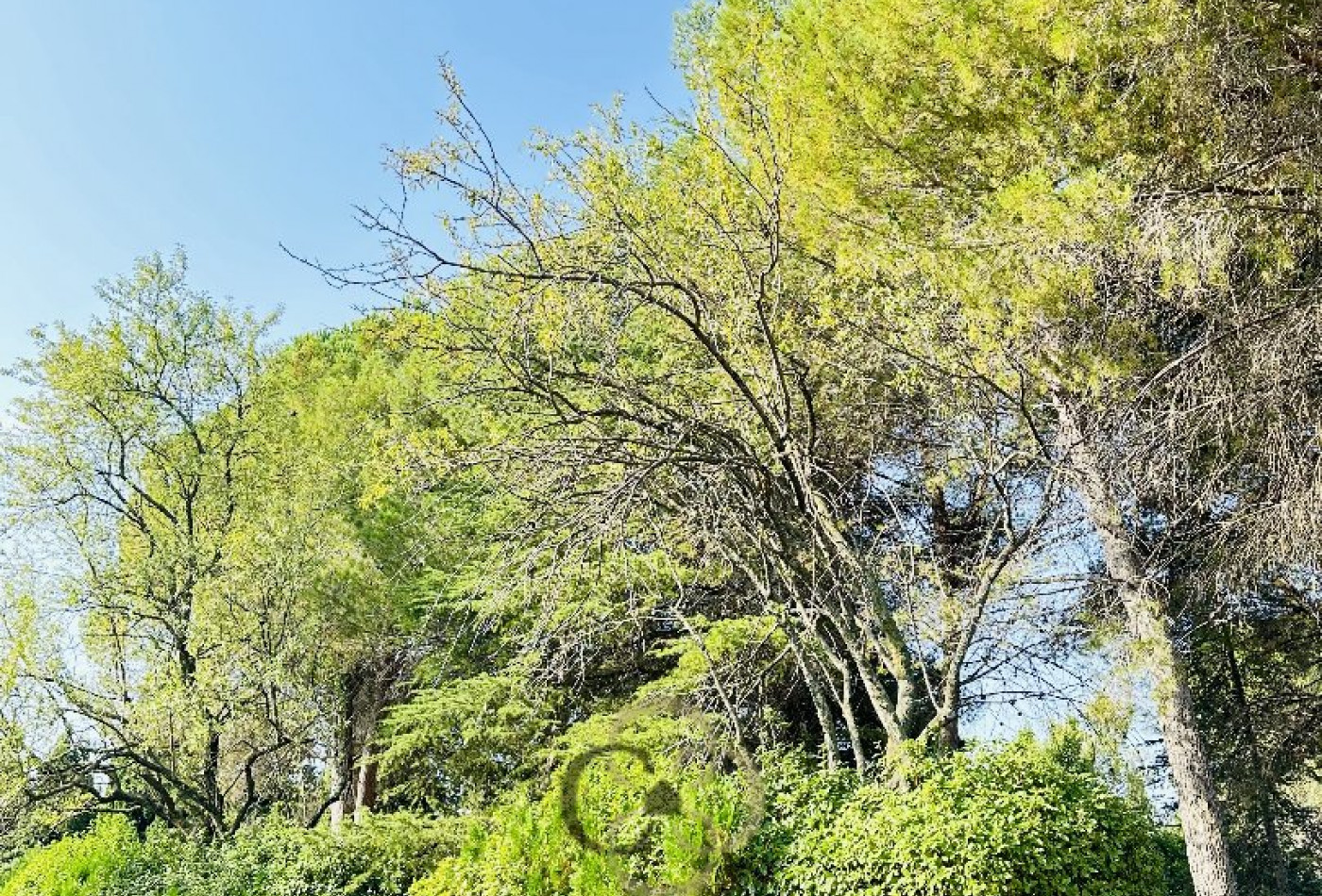 sale Terrain Saint Jean De Vedas - Photo 2