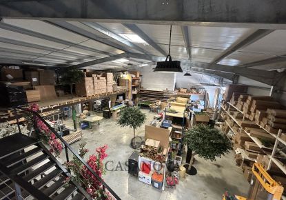 vente Jardinerie pépinière horticulture Vendargues