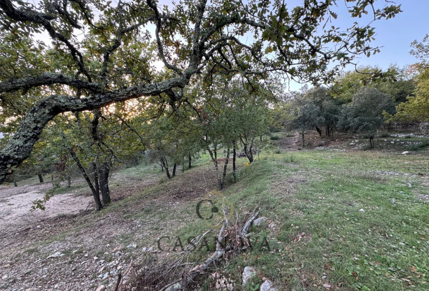 vente Terrain constructible Moules Et Baucels - Photo 4