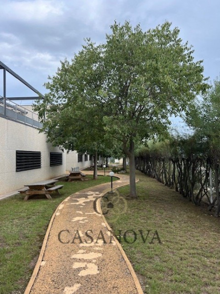 location Bureau Montpellier - Photo 1