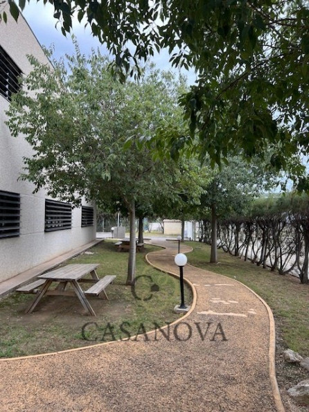 location Bureau Montpellier - Photo 5