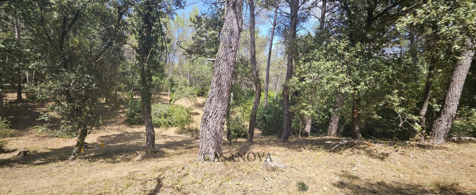 vente Terrain Saint Clement De Riviere - Photo 1