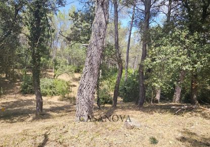 vente Terrain Saint Clement De Riviere