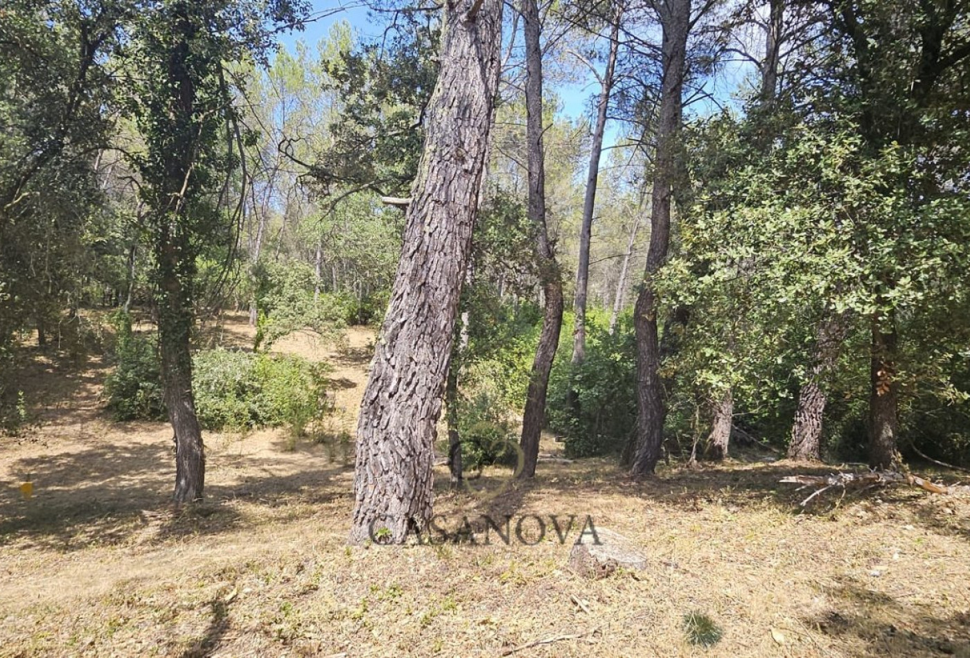 vente Terrain Saint Clement De Riviere - Photo 1