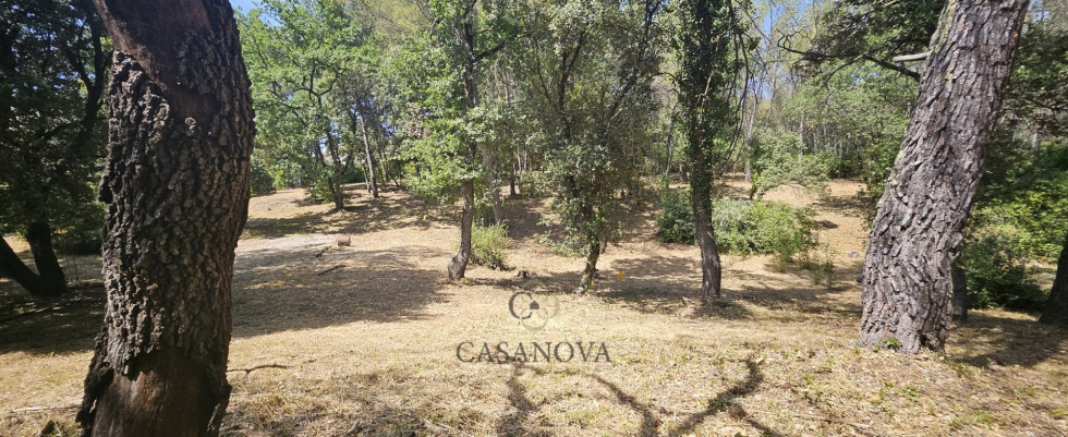 vente Terrain Saint Clement De Riviere - Photo 2