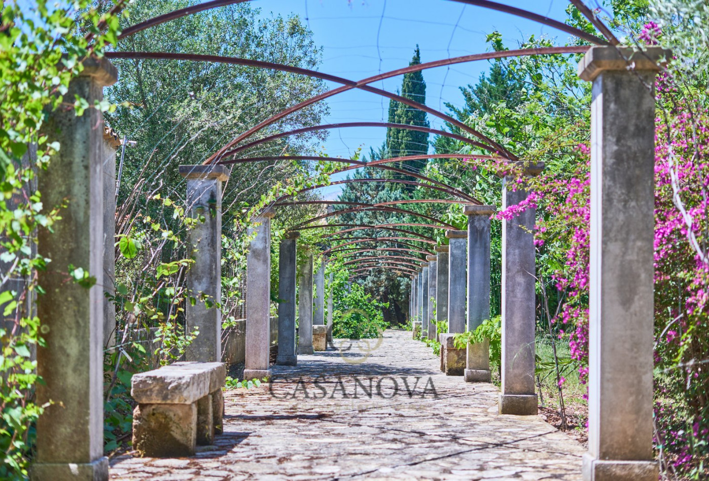 sale Maison de caractère PollenÇa - Photo 13