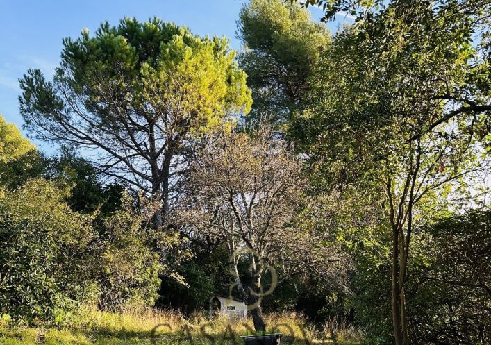 sale Terrain Montpellier