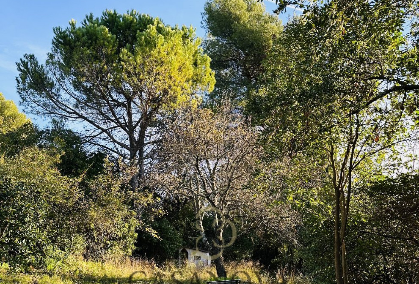 sale Terrain Montpellier - Photo 1