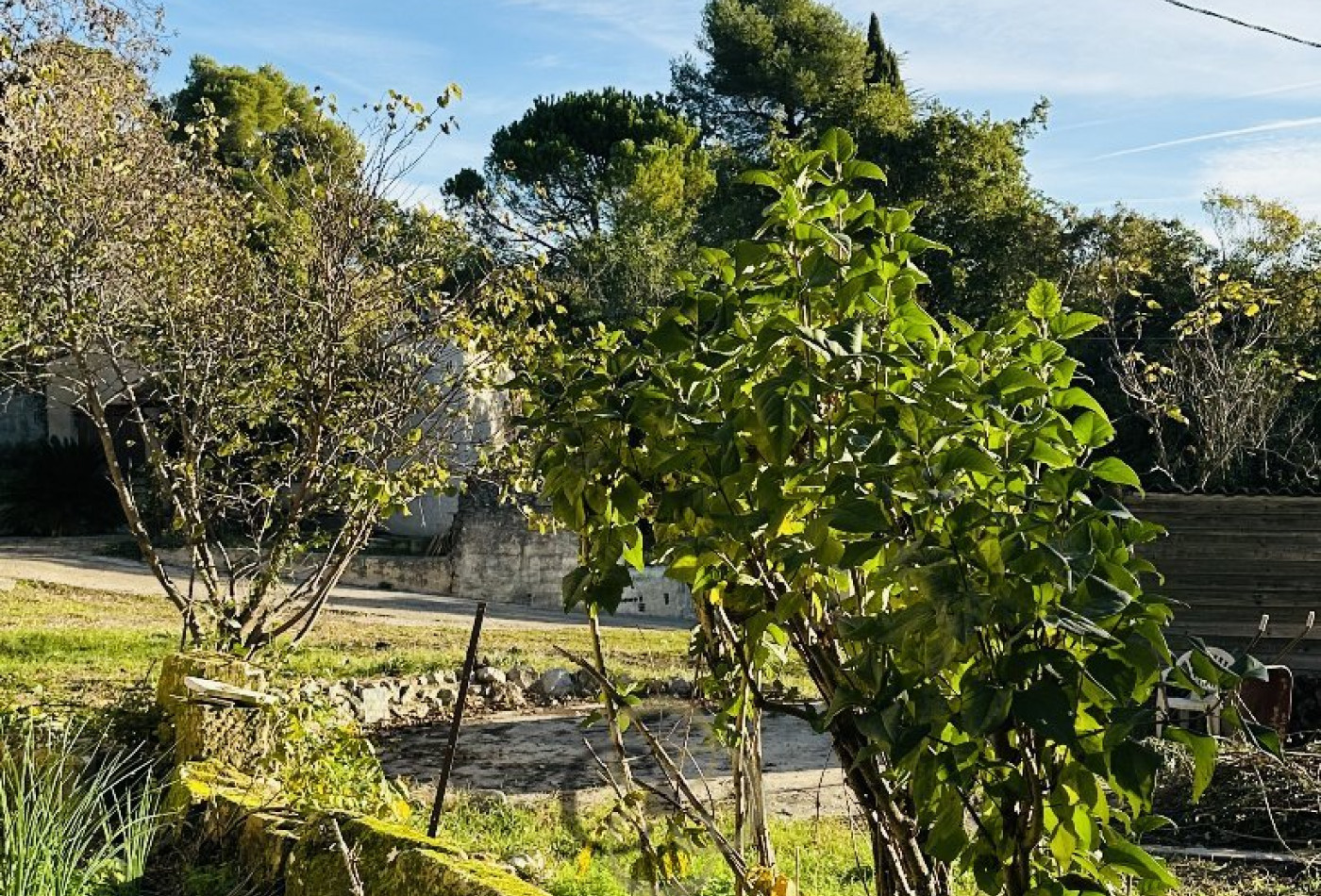 vente Terrain Montpellier - Photo 3