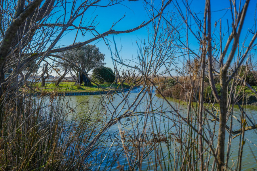 vente Maison Saintes Maries De La Mer - Photo 10