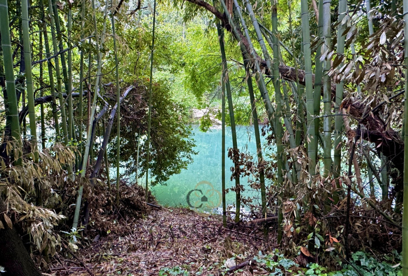 sale Maison Castelnau Le Lez - Photo 3