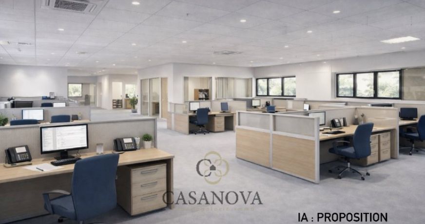 vente Locaux d'activité Grabels