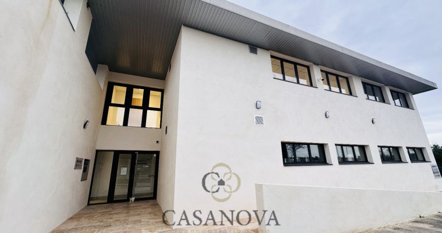 vente Locaux d'activité Grabels