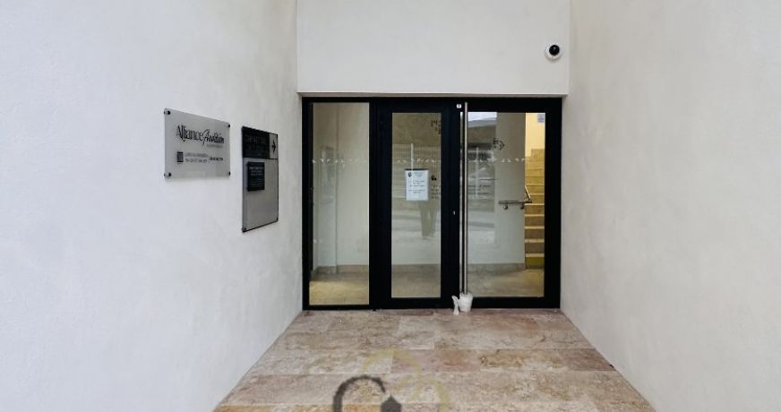 vente Locaux d'activité Grabels