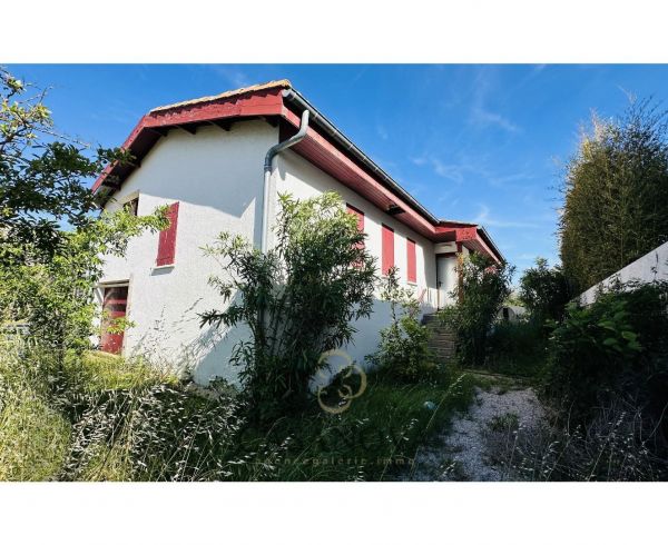 sale Carnon