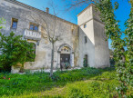 vente Maison Aigues Mortes