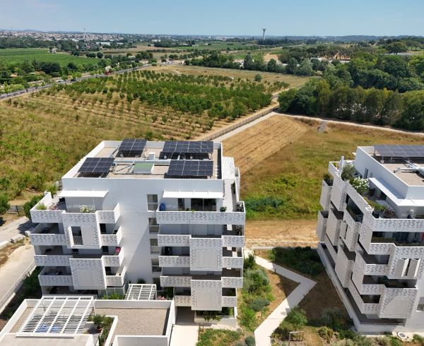 sale Montpellier