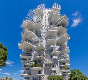 vente Montpellier
