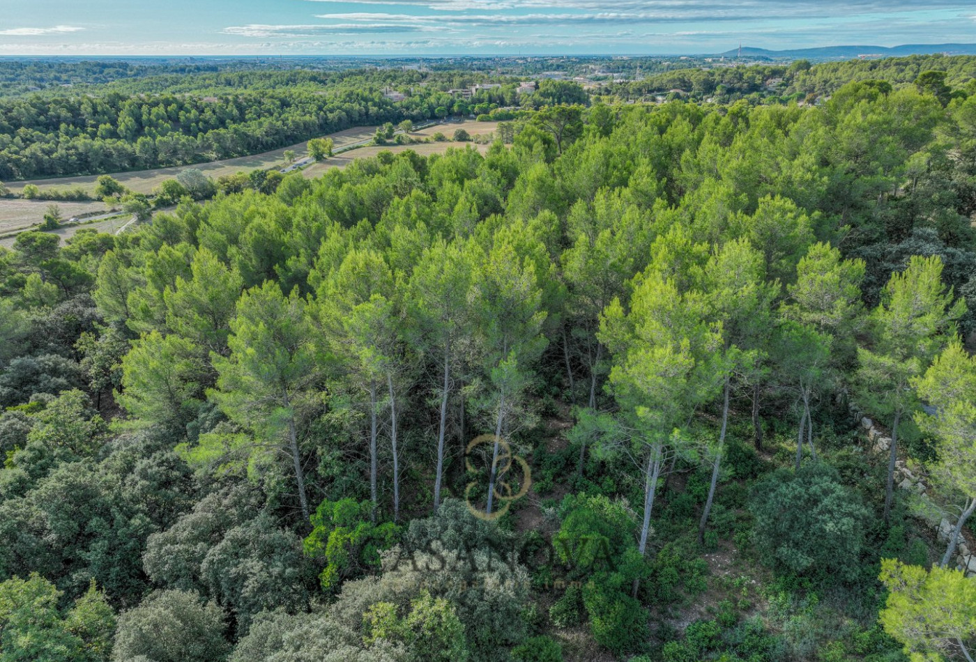 vente Terrain Saint Clement De Riviere - Photo 10