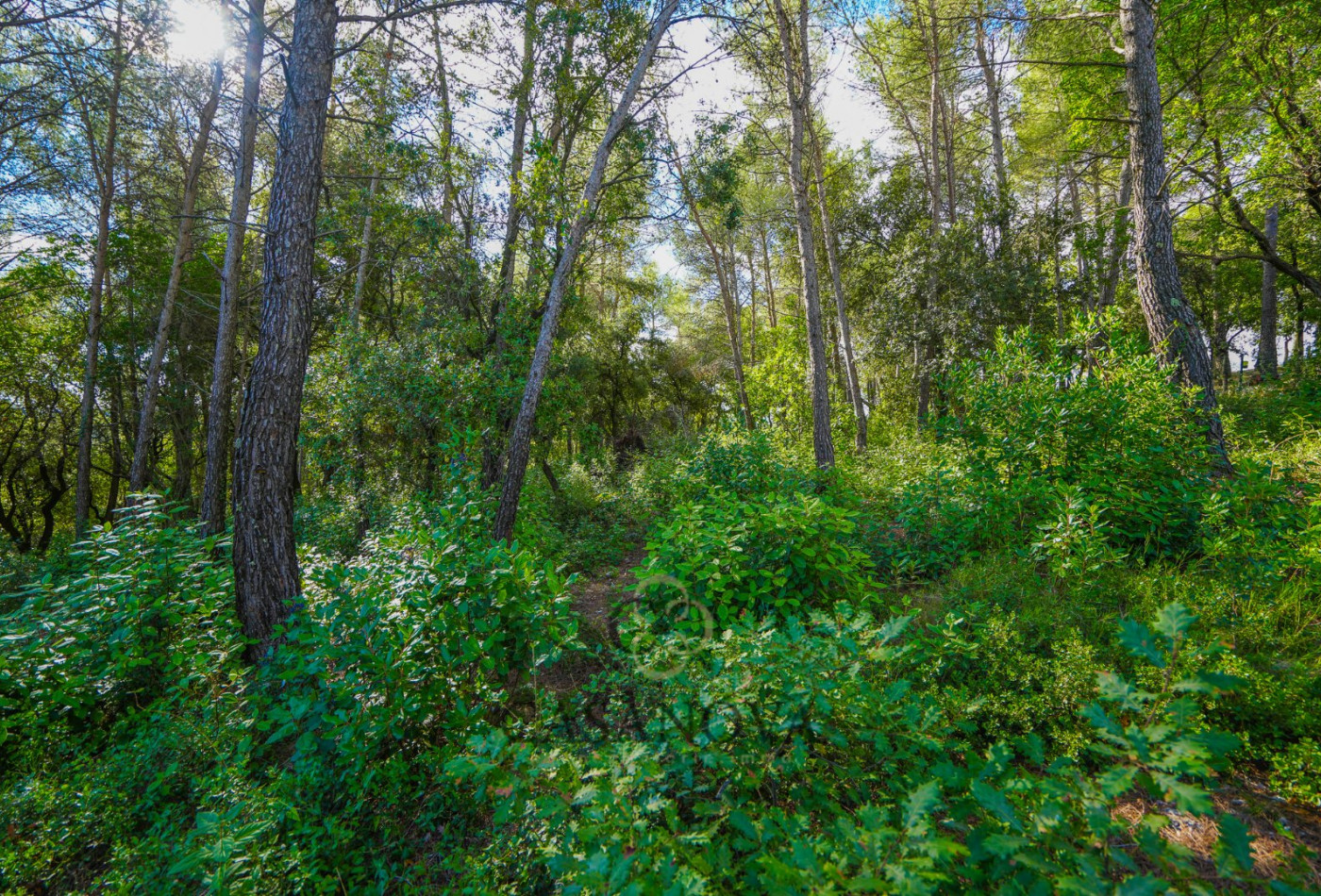 vente Terrain Saint Clement De Riviere - Photo 11