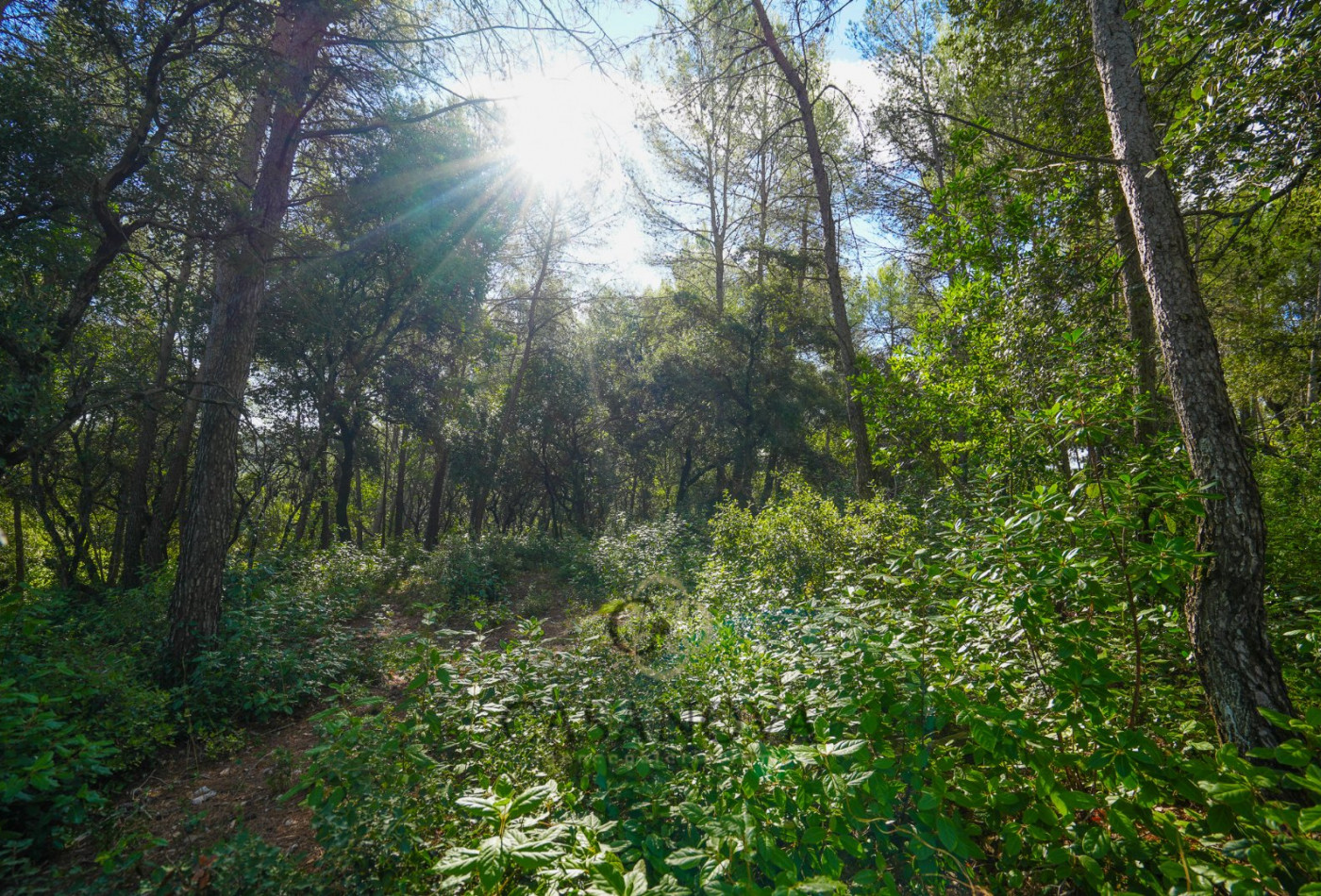 vente Terrain Saint Clement De Riviere - Photo 12