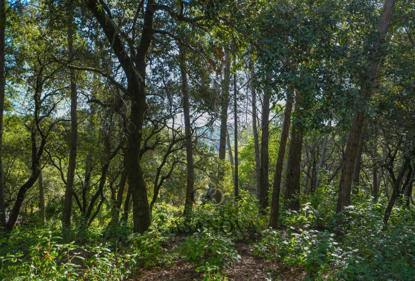 vente Terrain Saint Clement De Riviere - Photo 13