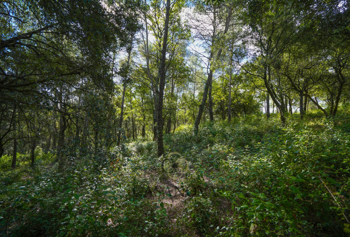 vente Terrain Saint Clement De Riviere - Photo 14