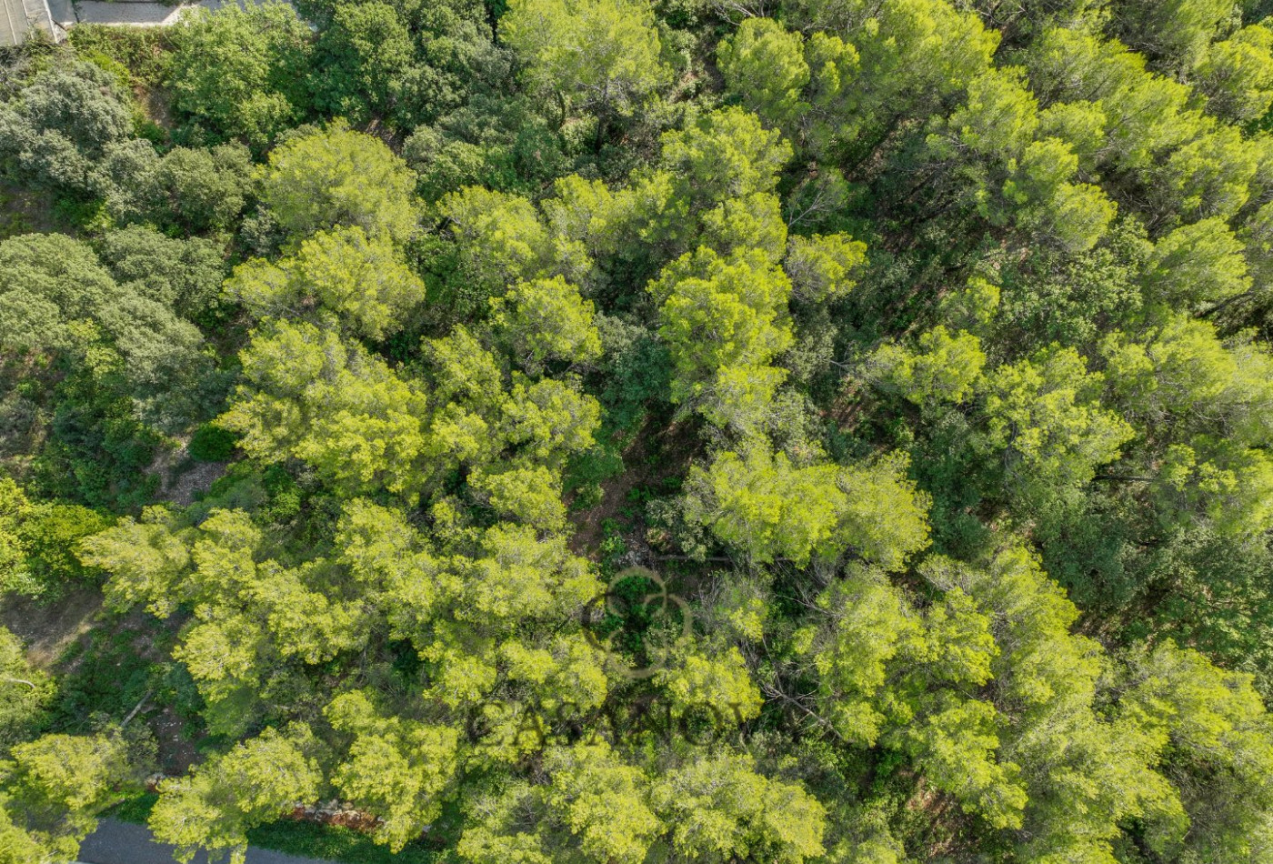 vente Terrain Saint Clement De Riviere - Photo 3