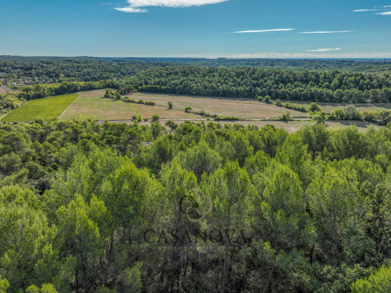 vente Terrain Saint Clement De Riviere - Photo 4