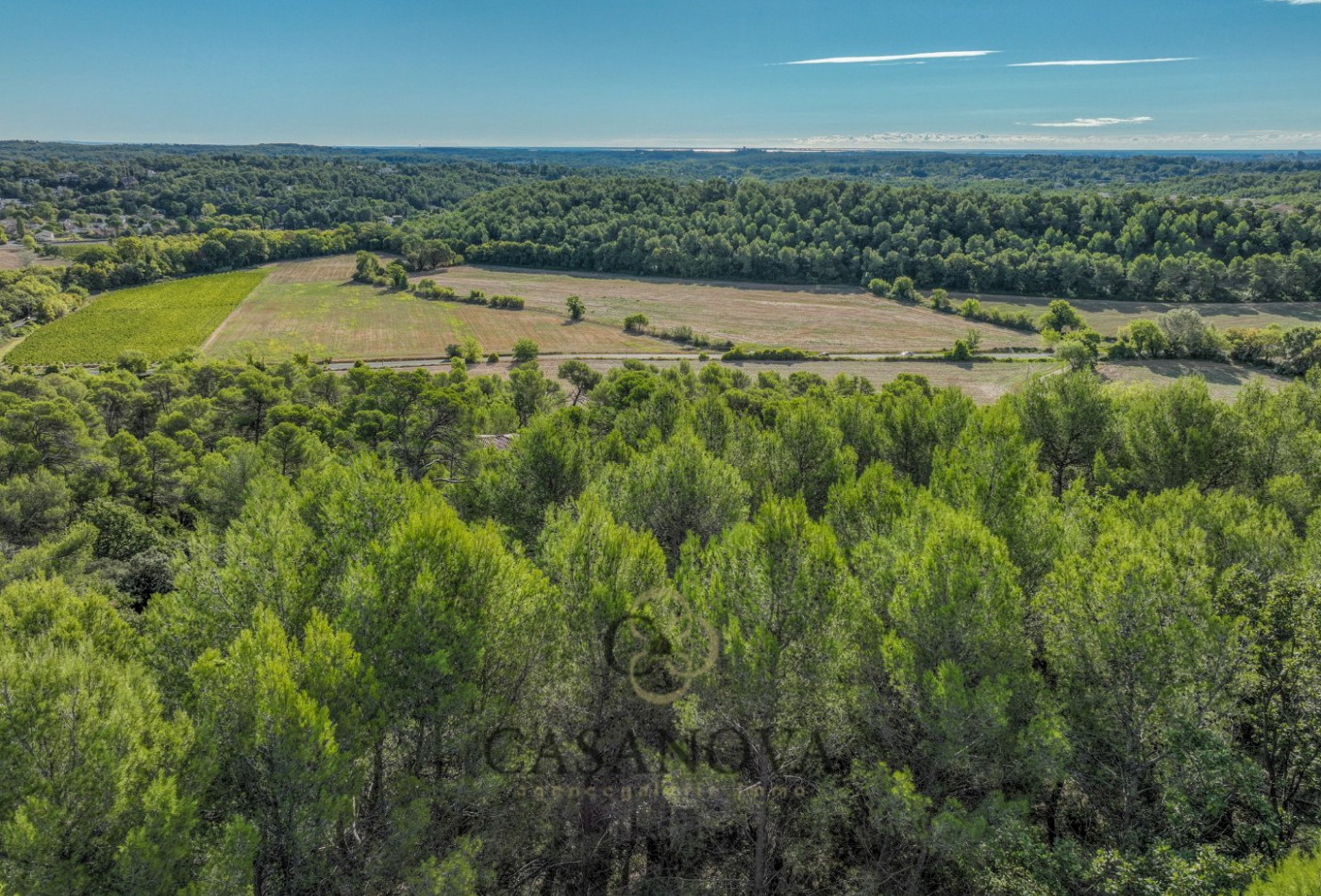 vente Terrain Saint Clement De Riviere - Photo 4