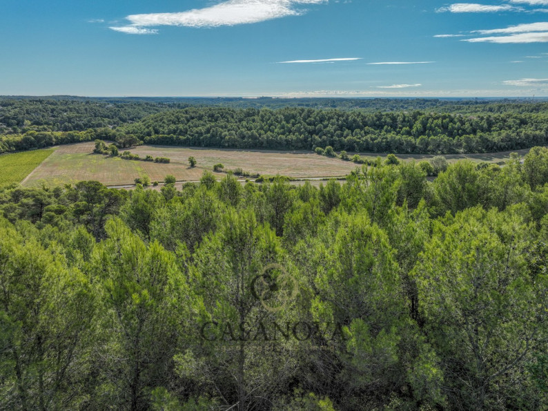 vente Terrain Saint Clement De Riviere - Photo 5