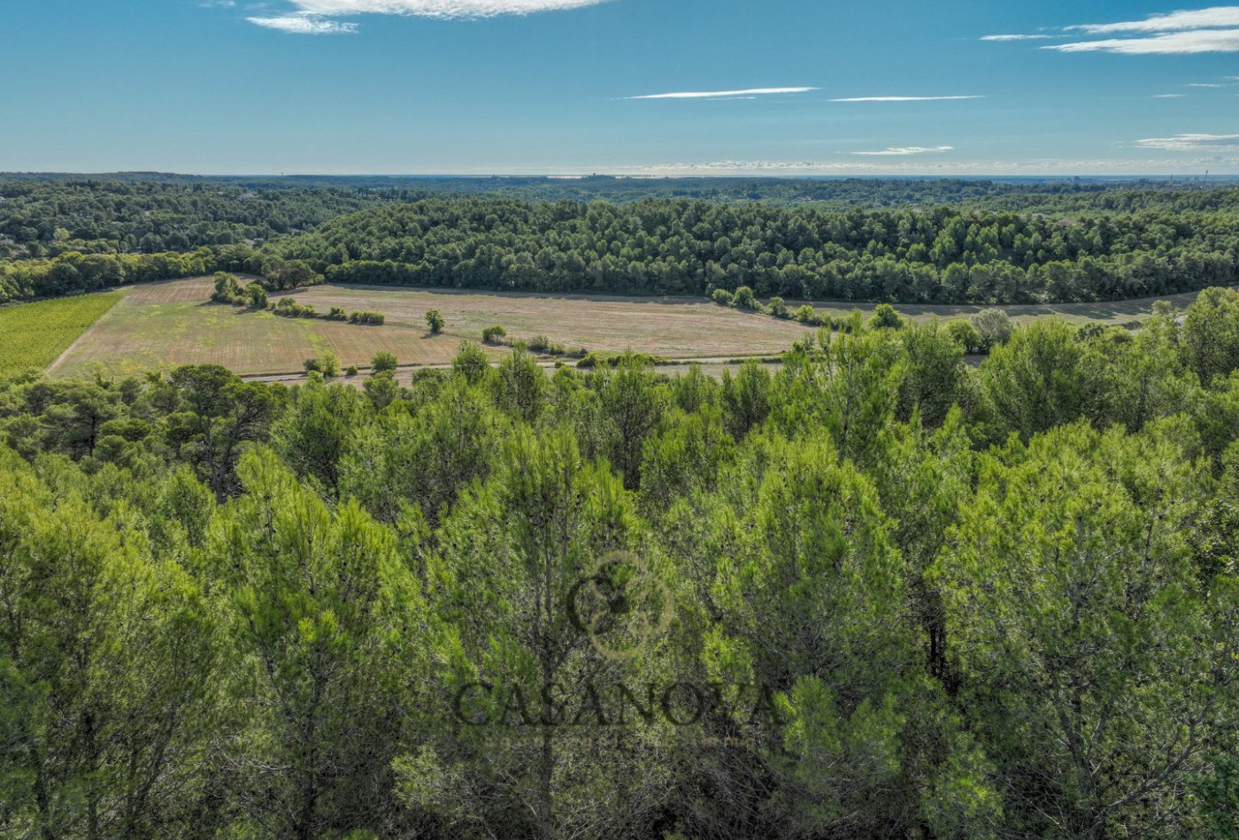 vente Terrain Saint Clement De Riviere - Photo 5