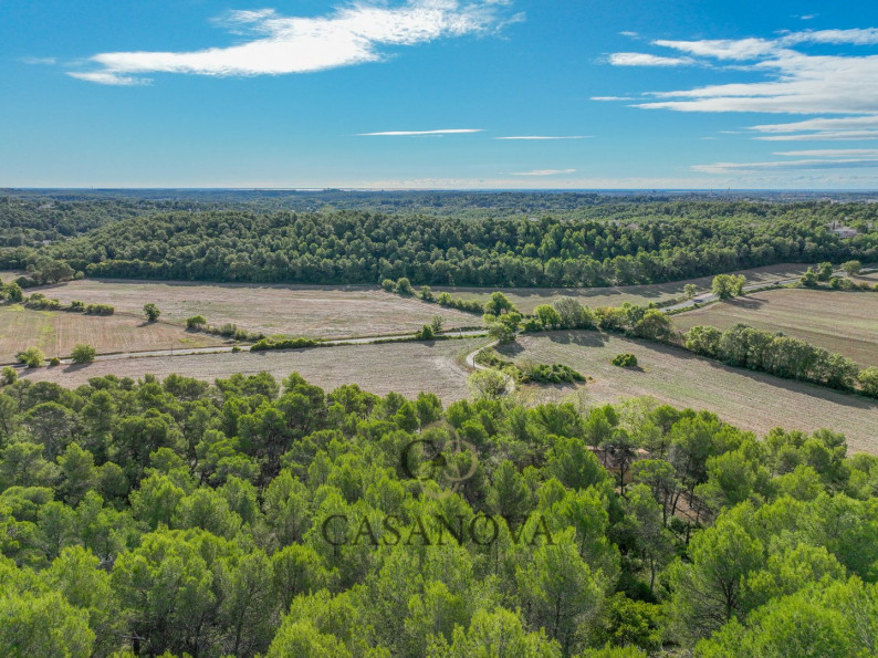 vente Terrain Saint Clement De Riviere - Photo 6