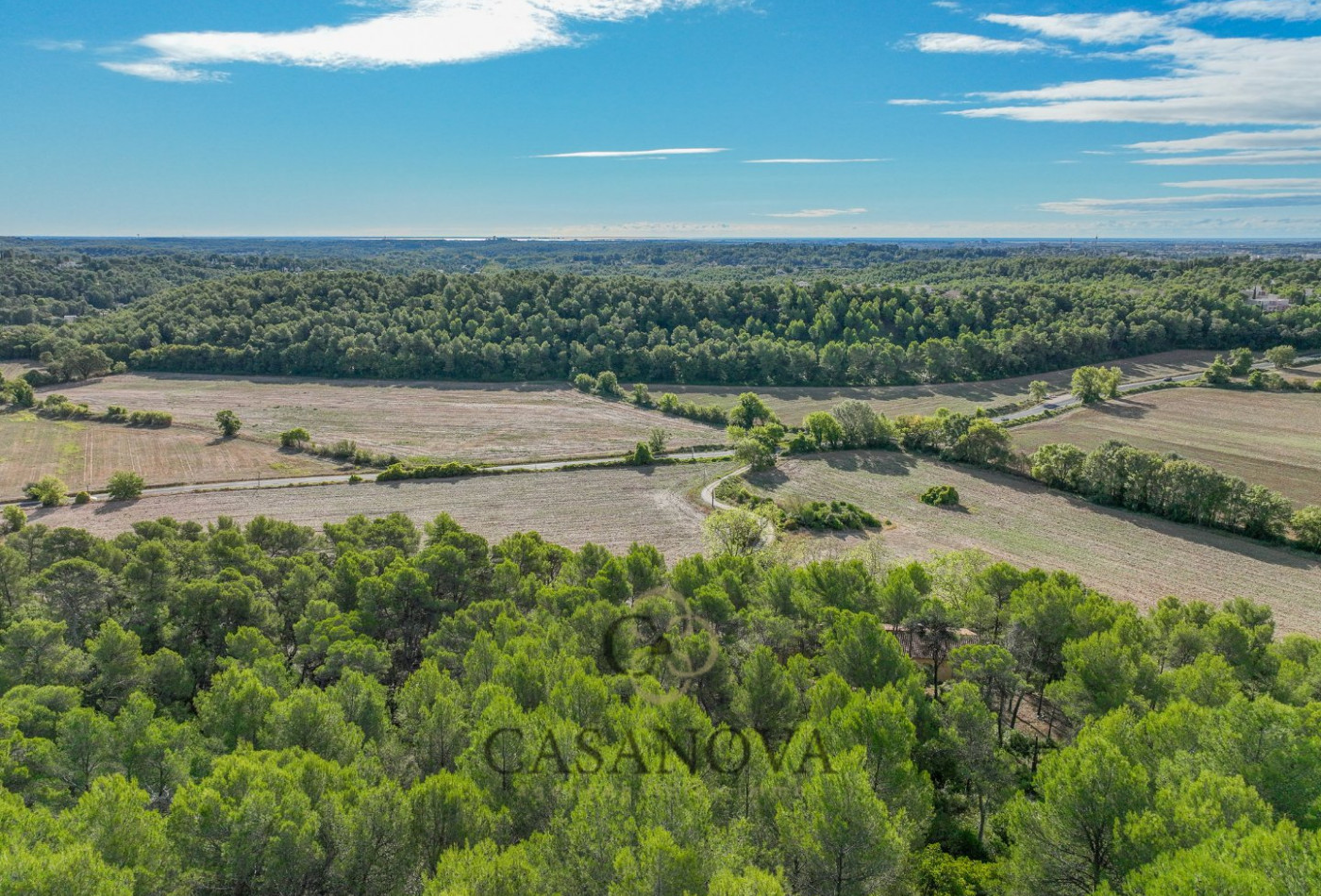 vente Terrain Saint Clement De Riviere - Photo 6