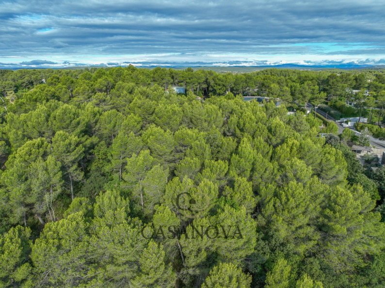 vente Terrain Saint Clement De Riviere - Photo 8