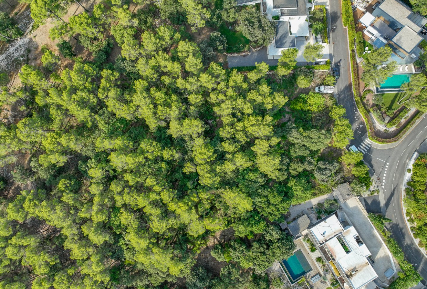 vente Terrain Saint Clement De Riviere - Photo 9