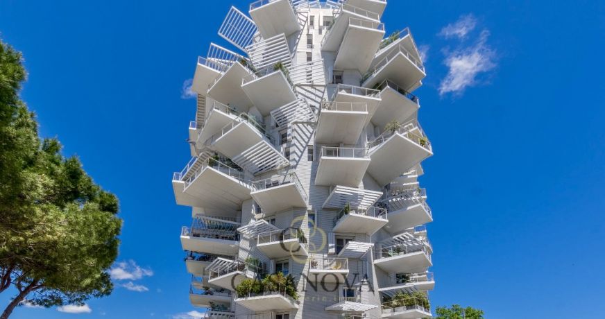 vente Appartement Montpellier