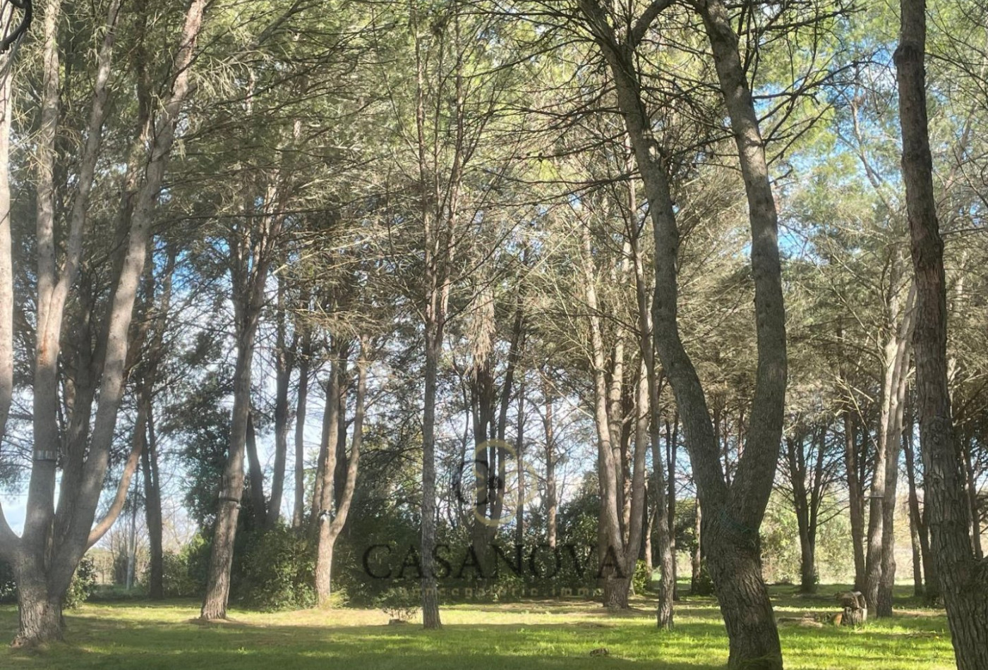 vente Mas Montpellier - Photo 20