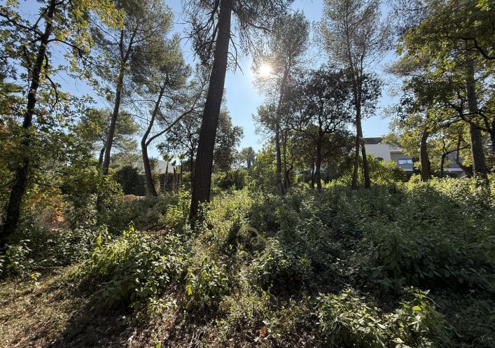 vente Terrain Saint Clement De Riviere