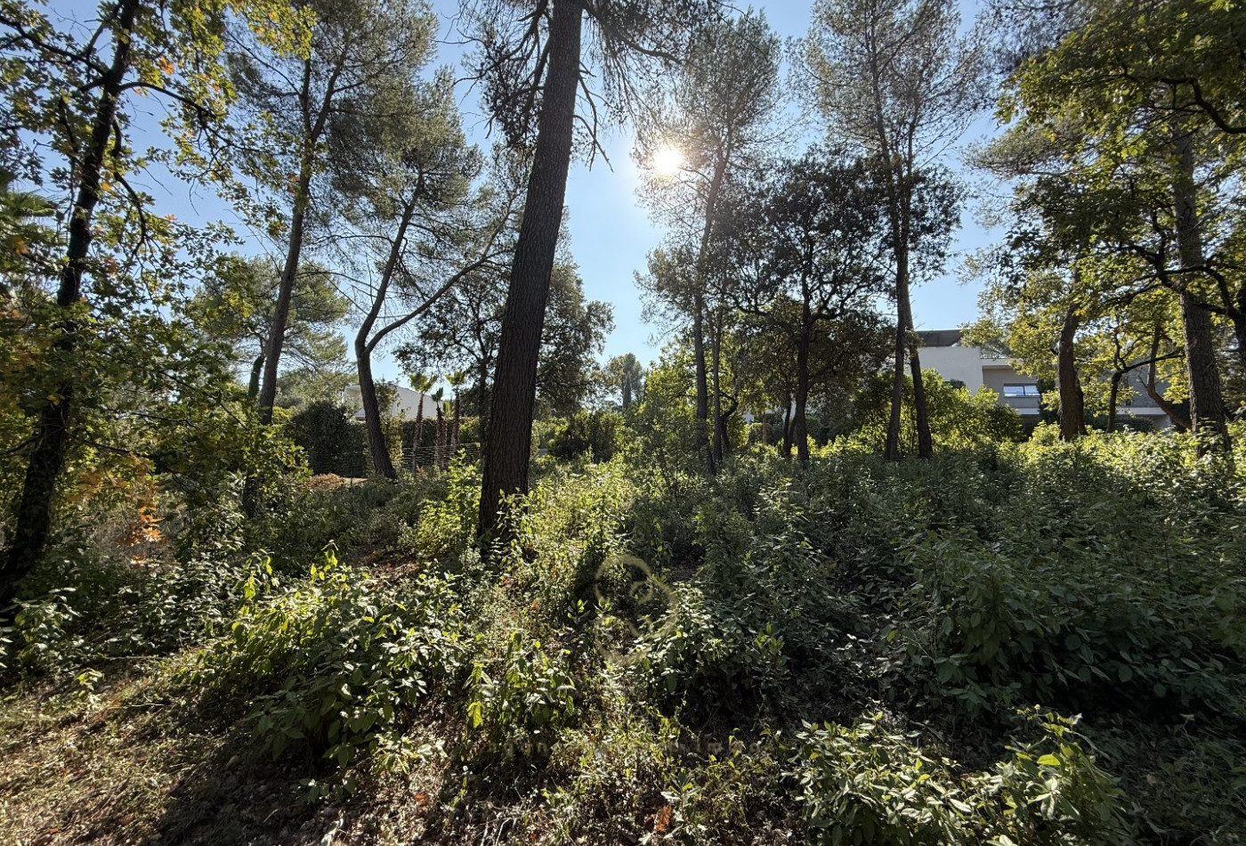 vente Terrain Saint Clement De Riviere - Photo 1