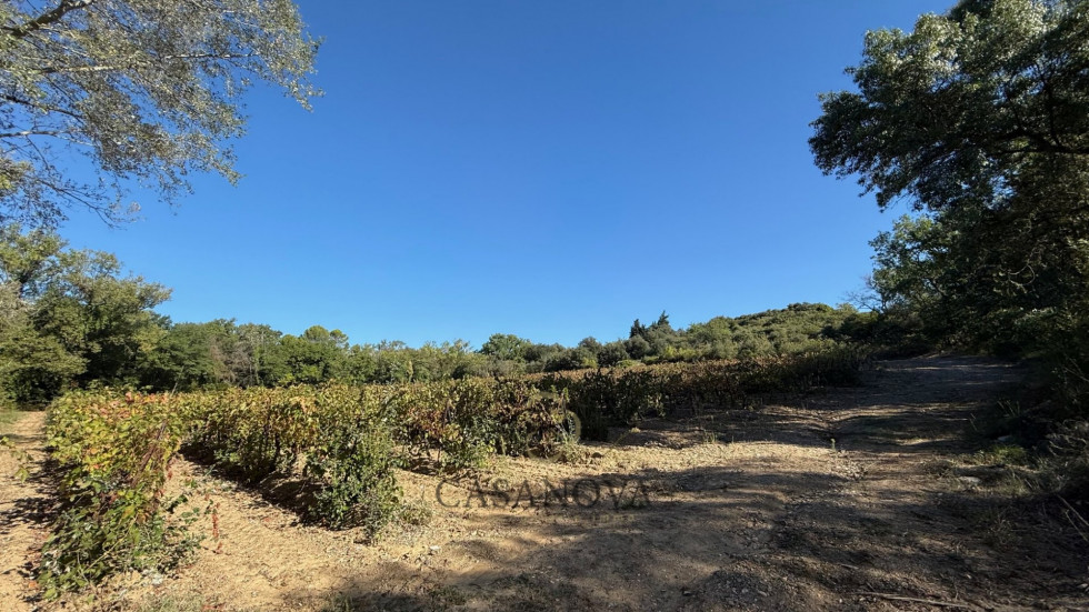 vente Domaine Murviel Les Beziers - Photo 4