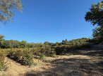 vente Domaine Murviel Les Beziers