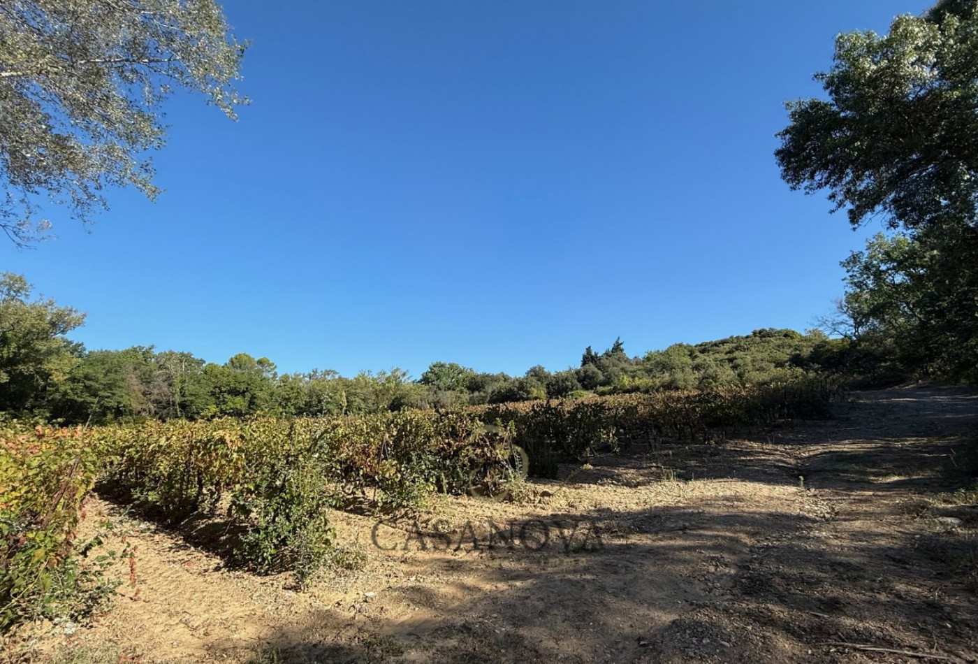 vente Domaine Murviel Les Beziers - Photo 4