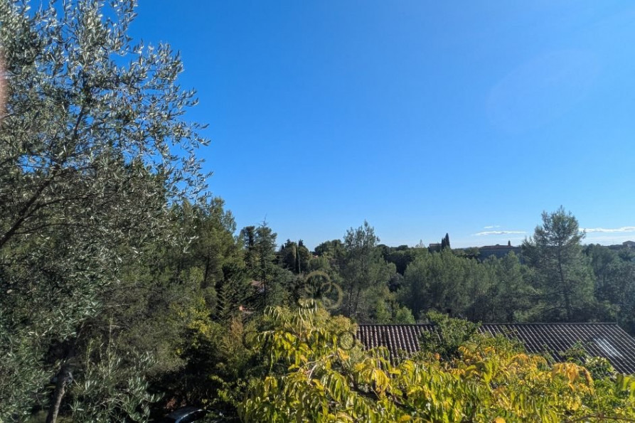 vente Maison Saint Vincent De Barbeyrargues - Photo 7