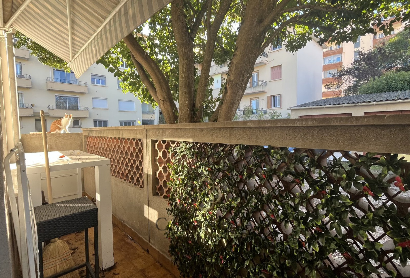 location Appartement Montpellier - Photo 8