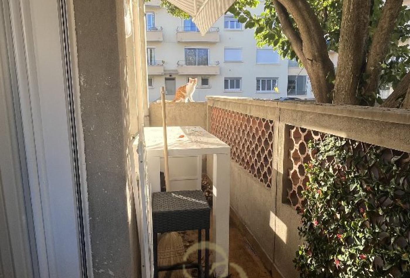 location Appartement Montpellier - Photo 9