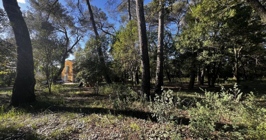 vente Maison Montpellier
