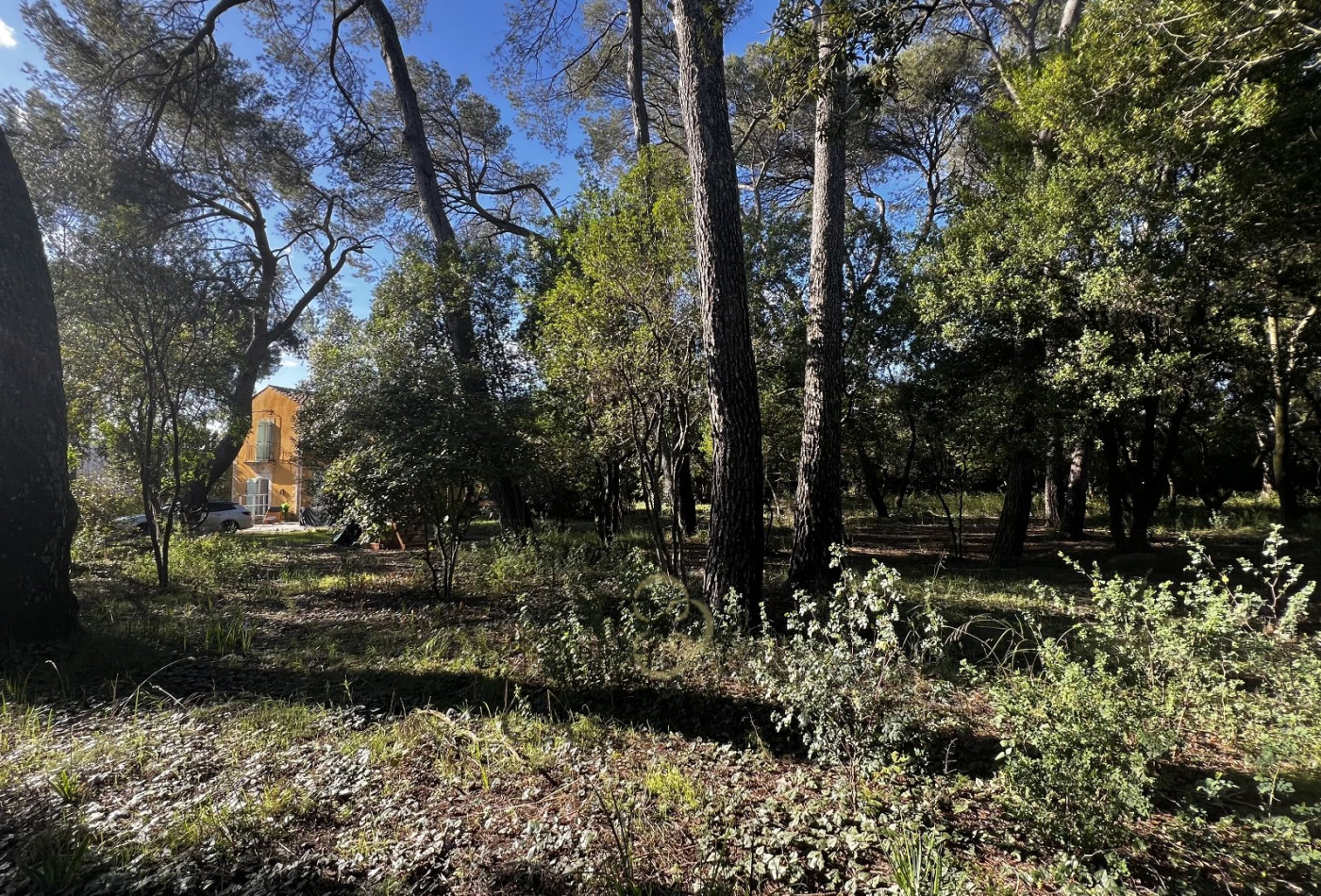 vente Maison Montpellier - Photo 7