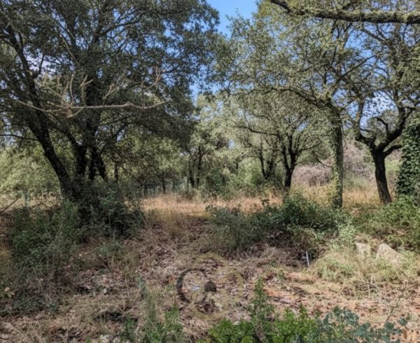 sale Sainte Croix De Quintillargues