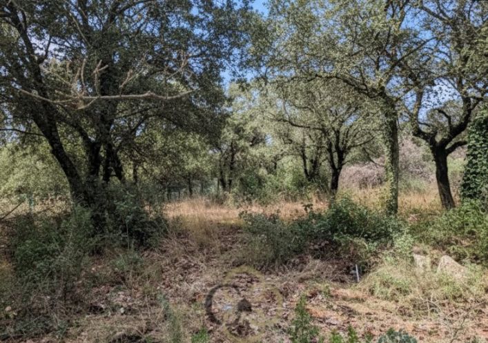 vente Terrain Sainte Croix De Quintillargues